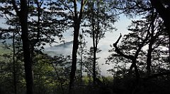 090_TZ60_P1150896_cr