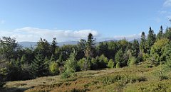 103_TZ60_P1150903_cr