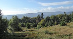 114_TZ60_P1150911_cr