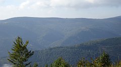 142_TZ60_P1150937_cr