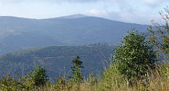 143_TZ60_P1150939_cr