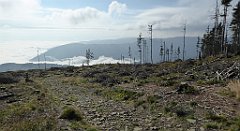 160_TZ60_P1150950_cr