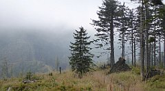 258_TZ60_P1150961_cr