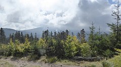 279_TZ60_P1150966_cr