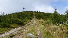 282_TZ60_P1150969_cr