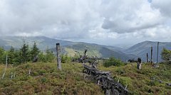 284_TZ60_P1150970_cr