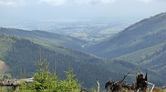 285_TZ60_P1150971_cr