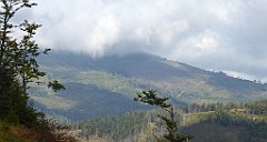 303_TZ60_P1150979_cr