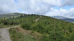 308_TZ60_P1150980_cr