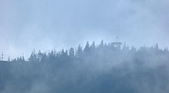 310_TZ60_P1150982_cr