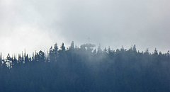 317_TZ60_P1150987_cr