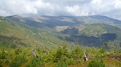 320_TZ60_P1150991_cr