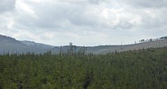 390_TZ60_P1160010_cr