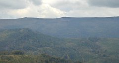 395_TZ60_P1160020_cr