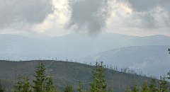 413_TZ60_P1160040_cr