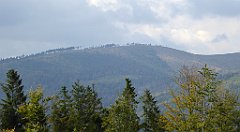 435_TZ60_P1160050_cr