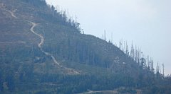 450_TZ60_P1160054_cr