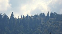 467_TZ60_P1160061_cr