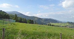 494_TZ60_P1160084_cr