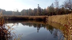 0149a_A806_IMG_20161104_090506_cr