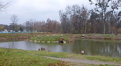 0031a_3D_P1140345_cr