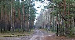 0268a_TZ_P1110384_cr