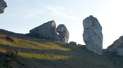 0584a_3D_P1140934_cr