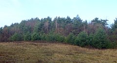 0064a_3D_P1150129_cr