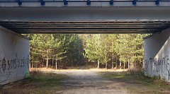 0251a_3D_P1150288_cr