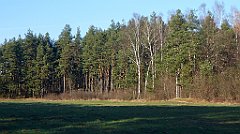 0293a_3D_P1150324_cr