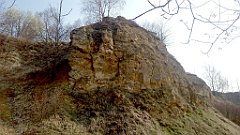 268_A806_IMG_20170329_103113