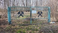 552_2017-03-29_12-39-24_3D_P1180974