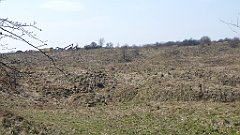 580_2017-03-29_12-51-55_3D_P1180982