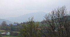 753_IMG_x52838