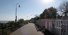 055_IMG_x53008
