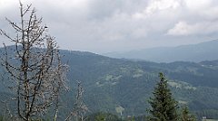 270_IMG_x54193