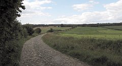 187_IMG_x55625