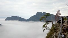 068_A806_IMG_20170930_083259