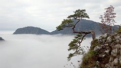 114_A806_IMG_20170930_084519