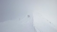 153_A806_IMG_20171202_141955