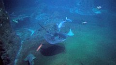 124_A806_IMG_20171210_105725