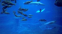 132_A806_IMG_20171210_105756