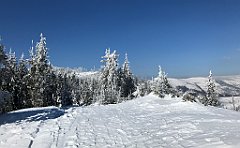 351_iP_180301_IMG_0677