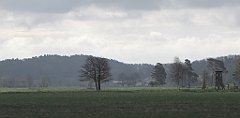 077_IMG_x26512