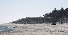 100_IMG_x26956