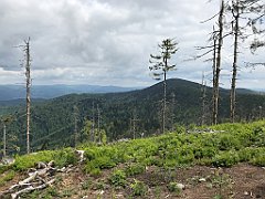 305_iP_180514_IMG_1237