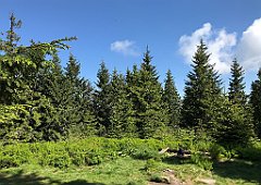 171_iP_180527_IMG_1298