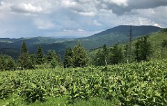 291_iP_180527_IMG_1327