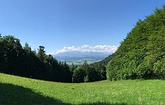 030_iP_180529_IMG_1512