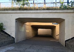 030_iP_20180702_IMG_1984